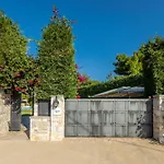 Aggeliki איוי תיאודורי