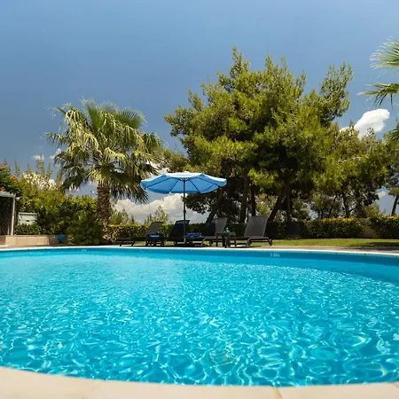 Aggeliki * Агиои Теодорои