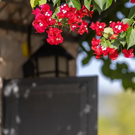 Tatil Evi Aggeliki