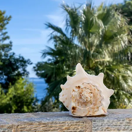 Aggeliki Ferienhaus Agii Theodori