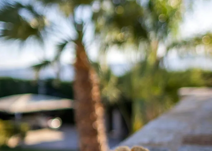 Aggeliki Agioi Theodoroi (Corinthia)